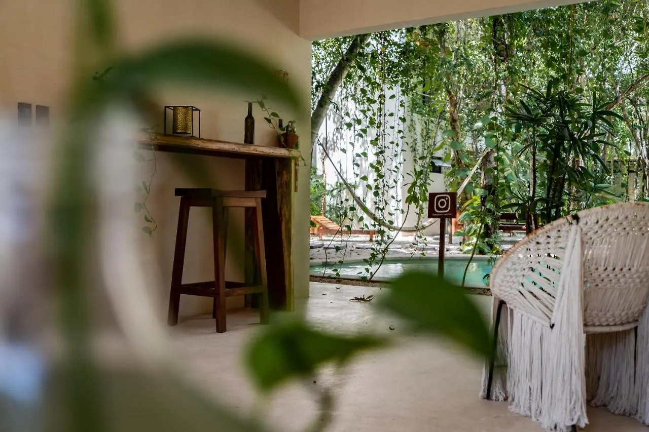Casai - Kil Spacious Retreat In La Veleta, Tulum - Private Plunge Pool, Gym
