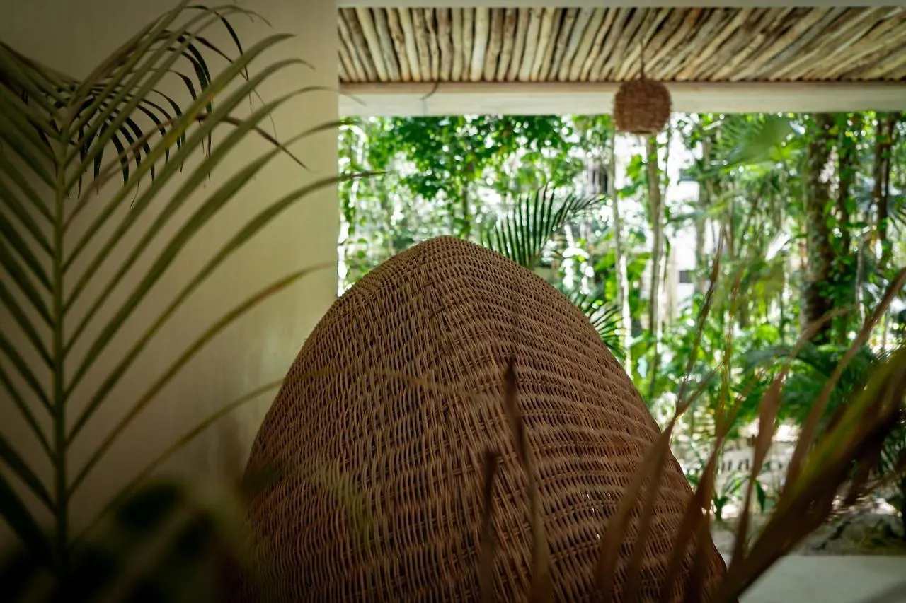 Casai - Kil Spacious Retreat In La Veleta, Tulum - Private Plunge Pool, Gym 0*,  Mexico