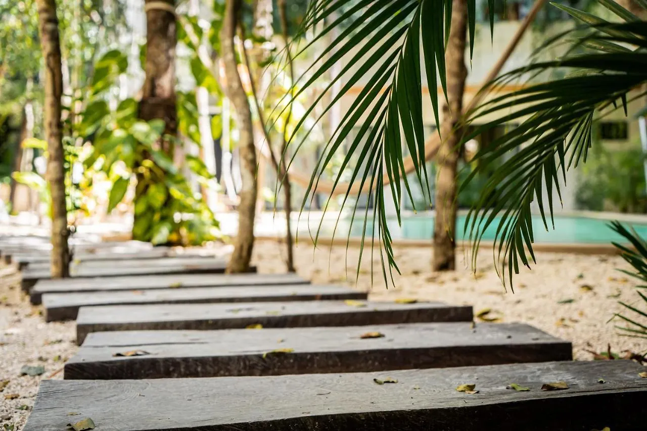 Casai - Kil Spacious Retreat In La Veleta, Tulum - Private Plunge Pool, Gym 0*,