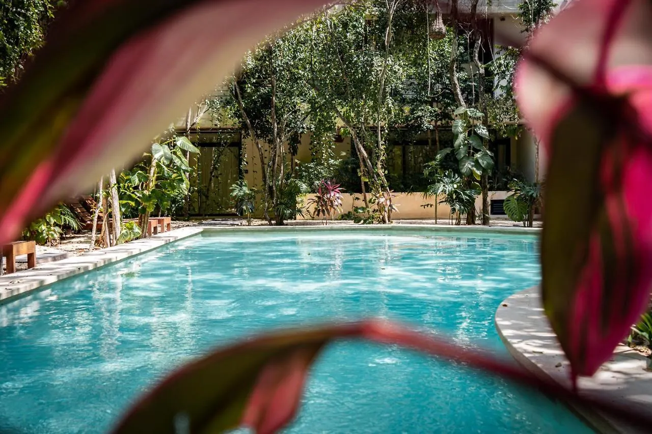 Casai - Kil Spacious Retreat In La Veleta, Tulum - Private Plunge Pool, Gym 0*,  Mexico