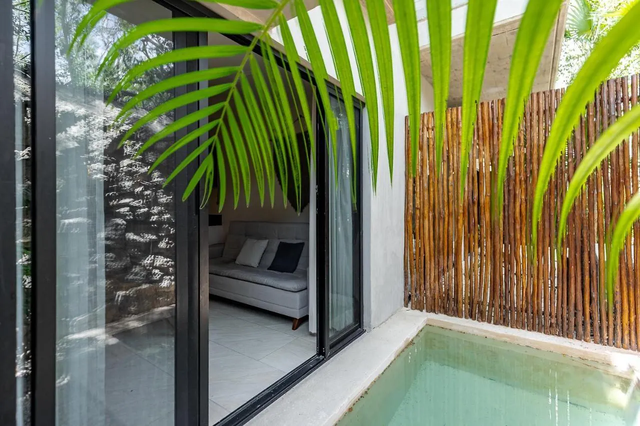 Casai - Kil Spacious Retreat In La Veleta, Tulum - Private Plunge Pool, Gym 0*,