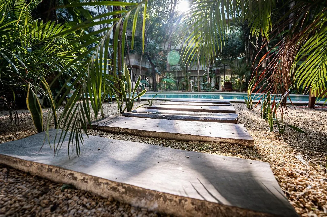 Casai - Kil Spacious Retreat In La Veleta, Tulum - Private Plunge Pool, Gym Mexico
