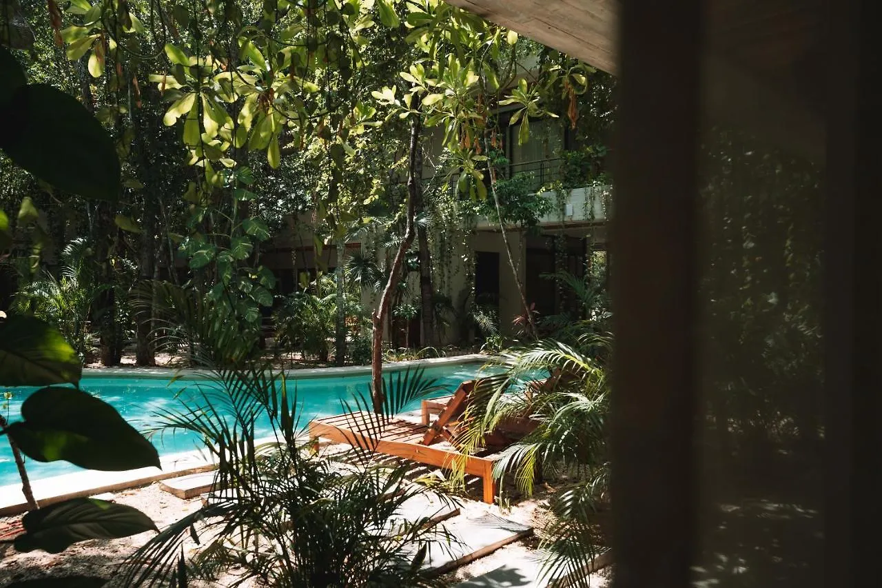 Casai - Kil Spacious Retreat In La Veleta, Tulum - Private Plunge Pool, Gym