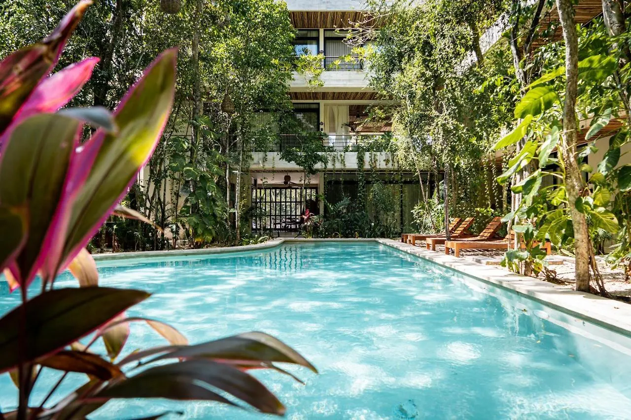 Apartment Casai - Kil Spacious Retreat In La Veleta, Tulum - Private Plunge Pool, Gym