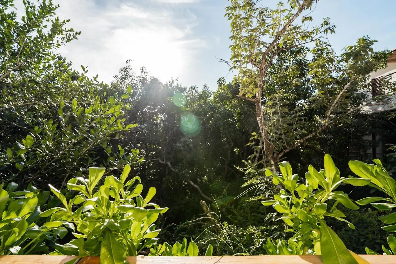 Casai - Kil Spacious Retreat In La Veleta, Tulum - Private Plunge Pool, Gym Mexico
