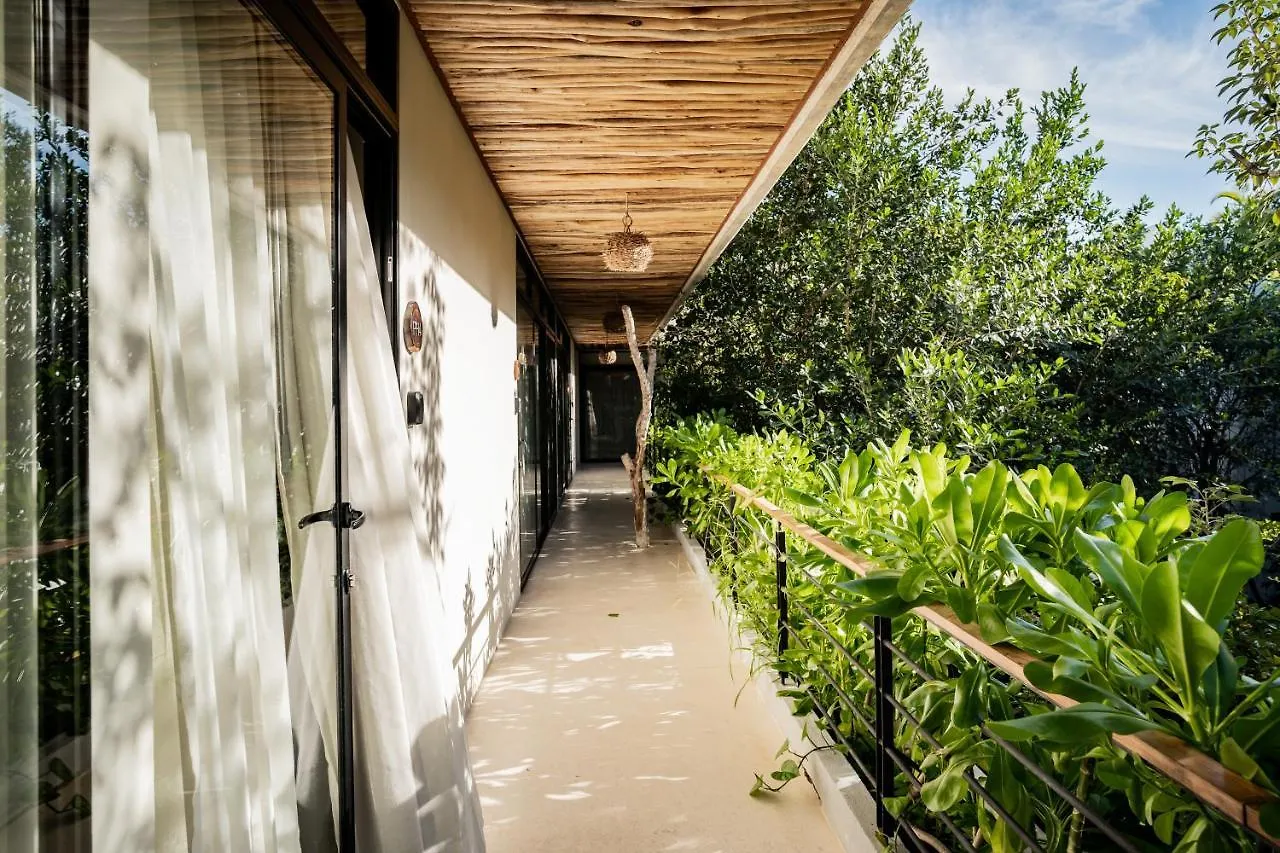 Casai - Kil Spacious Retreat In La Veleta, Tulum - Private Plunge Pool, Gym 0*,  Mexico