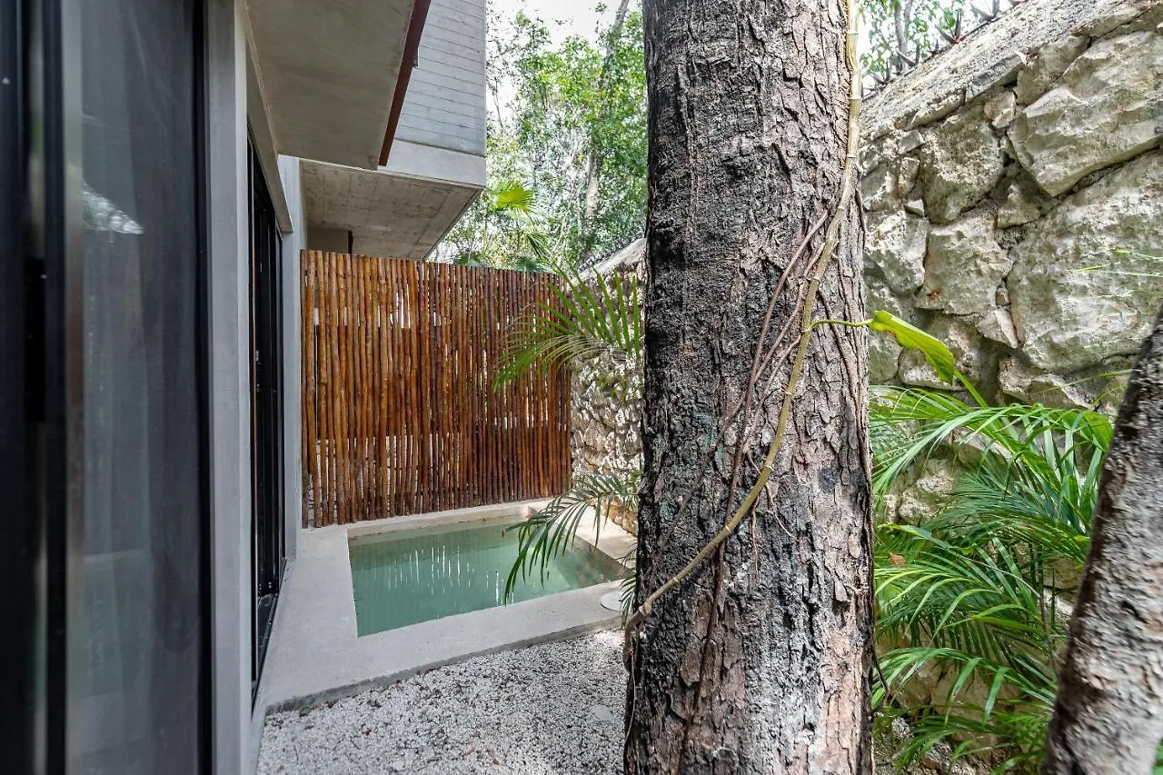 Casai - Kil Spacious Retreat In La Veleta, Tulum - Private Plunge Pool, Gym