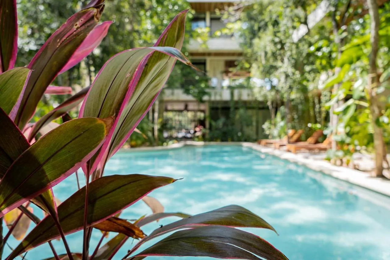 Casai - Kil Spacious Retreat In La Veleta, Tulum - Private Plunge Pool, Gym Apartment