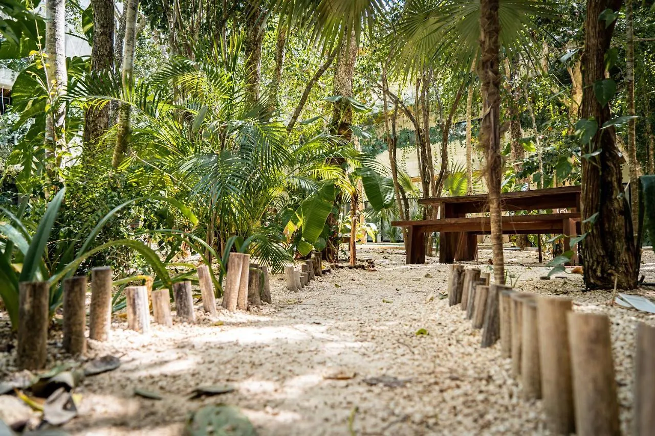 Casai - Kil Spacious Retreat In La Veleta, Tulum - Private Plunge Pool, Gym Apartament